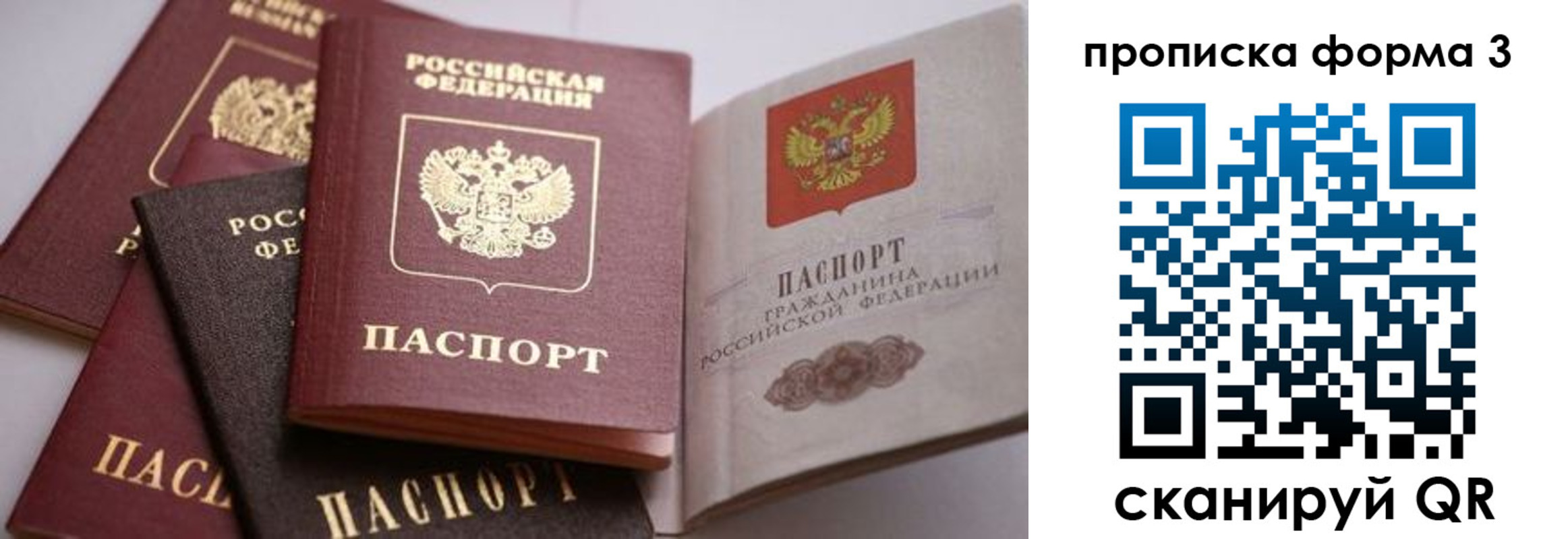 прописка для школы в Малой Вишере