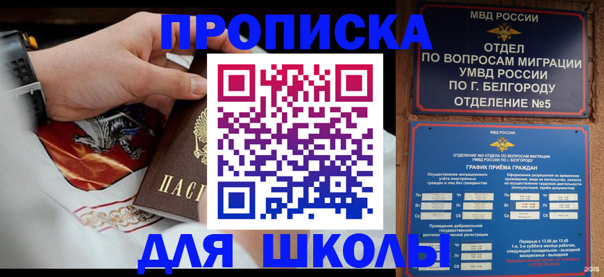 пропишу в квартире в Малой Вишере